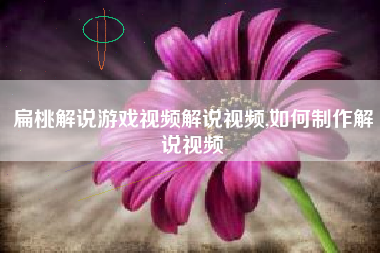 扁桃解说游戏视频解说视频,如何制作解说视频