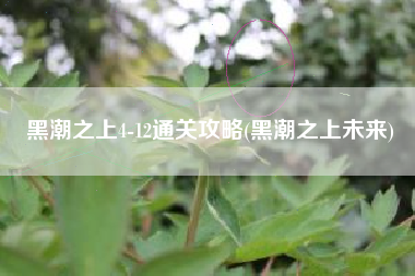黑潮之上4-12通关攻略(黑潮之上未来)