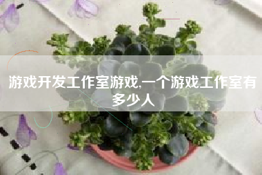 游戏开发工作室游戏,一个游戏工作室有多少人