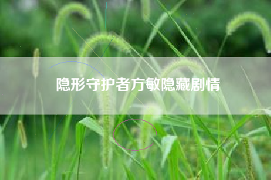 隐形守护者方敏隐藏剧情