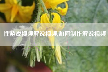 性游戏视频解说视频,如何制作解说视频