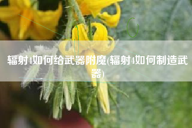 辐射4如何给武器附魔(辐射4如何制造武器)