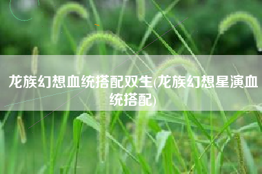 龙族幻想血统搭配双生(龙族幻想星演血统搭配)