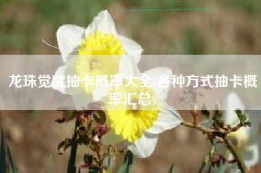 龙珠觉醒抽卡概率大全(各种方式抽卡概率汇总)