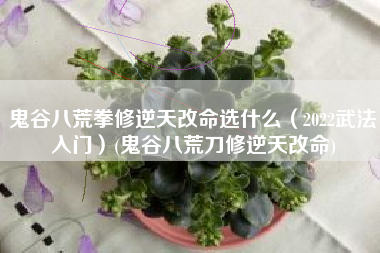鬼谷八荒拳修逆天改命选什么（2022武法入门）(鬼谷八荒刀修逆天改命)