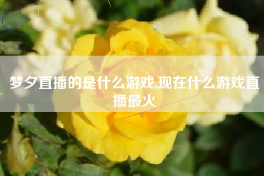 梦夕直播的是什么游戏,现在什么游戏直播最火