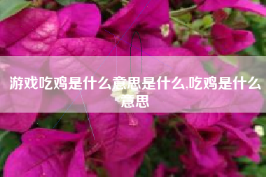 游戏吃鸡是什么意思是什么,吃鸡是什么意思