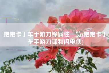 跑跑卡丁车手游刀锋属性一览(跑跑卡丁车手游刀锋和闪电侠)