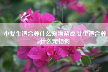小女生适合养什么宠物游戏,女生适合养什么宠物狗