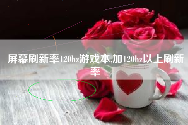 屏幕刷新率120hz游戏本,加120hz以上刷新率