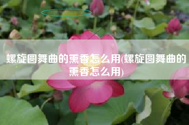 螺旋圆舞曲的熏香怎么用(螺旋圆舞曲的熏香怎么用)