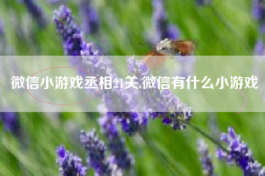 微信小游戏丞相21关,微信有什么小游戏
