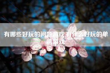 有哪些好玩的问题游戏,有什么好玩的单机游戏