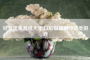 经营类黄游戏大全,以后做模拟经营类游戏