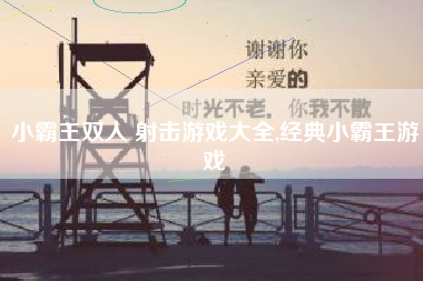 小霸王双人 射击游戏大全,经典小霸王游戏