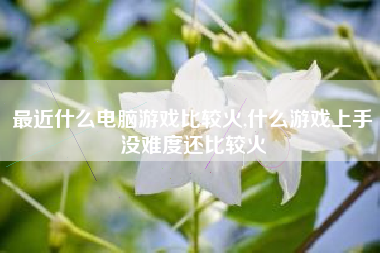 最近什么电脑游戏比较火,什么游戏上手没难度还比较火