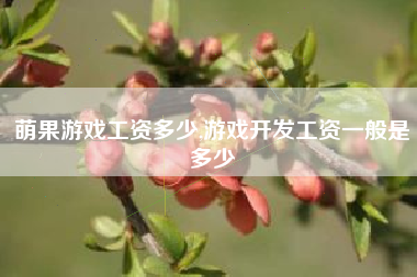 萌果游戏工资多少,游戏开发工资一般是多少