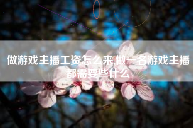 做游戏主播工资怎么来,做一名游戏主播都需要些什么