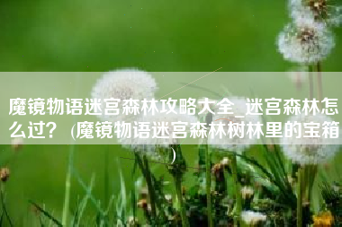 魔镜物语迷宫森林攻略大全_迷宫森林怎么过？ (魔镜物语迷宫森林树林里的宝箱)