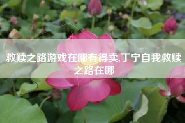 救赎之路游戏在哪有得卖,丁宁自我救赎之路在哪