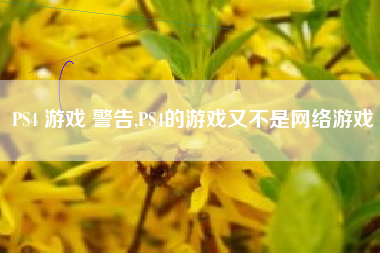 PS4 游戏 警告,PS4的游戏又不是网络游戏