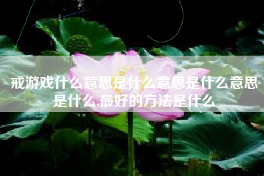 戒游戏什么意思是什么意思是什么意思是什么,最好的方法是什么