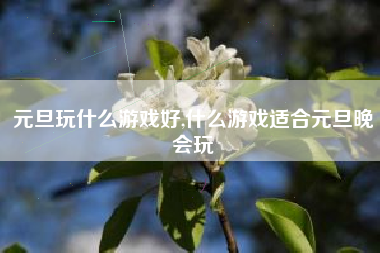元旦玩什么游戏好,什么游戏适合元旦晚会玩