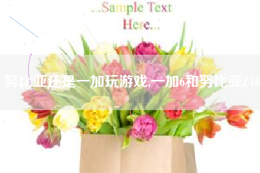 努比亚还是一加玩游戏,一加6和努比亚Z18
