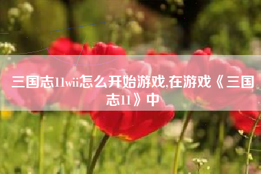 三国志11wii怎么开始游戏,在游戏《三国志11》中