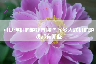 可以连机的游戏有哪些,PC多人联机的游戏都有哪些