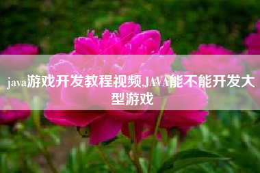 java游戏开发教程视频,JAVA能不能开发大型游戏
