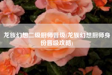 龙族幻想二级厨师晋级(龙族幻想厨师身份晋级攻略)