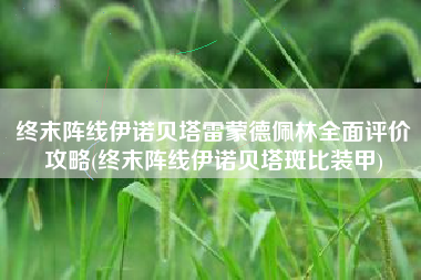 终末阵线伊诺贝塔雷蒙德佩林全面评价攻略(终末阵线伊诺贝塔斑比装甲)