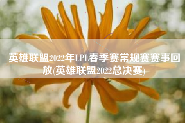 英雄联盟2022年LPL春季赛常规赛赛事回放(英雄联盟2022总决赛)