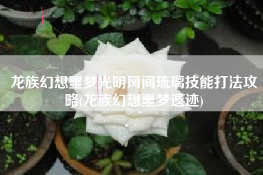 龙族幻想噩梦光明风间琉璃技能打法攻略(龙族幻想噩梦遗迹)