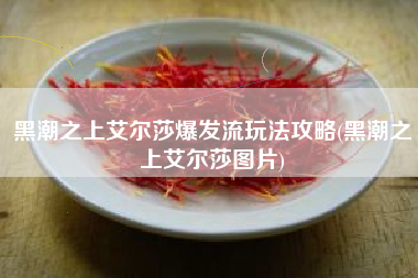 黑潮之上艾尔莎爆发流玩法攻略(黑潮之上艾尔莎图片)