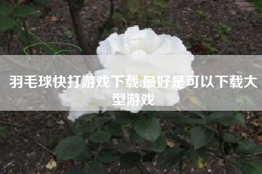 羽毛球快打游戏下载,最好是可以下载大型游戏