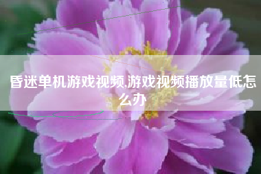 昏迷单机游戏视频,游戏视频播放量低怎么办