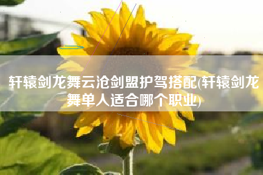 轩辕剑龙舞云沧剑盟护驾搭配(轩辕剑龙舞单人适合哪个职业)