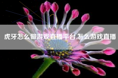 虎牙怎么做游戏直播平台,怎么游戏直播