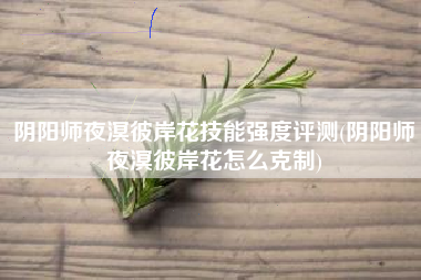 阴阳师夜溟彼岸花技能强度评测(阴阳师夜溟彼岸花怎么克制)