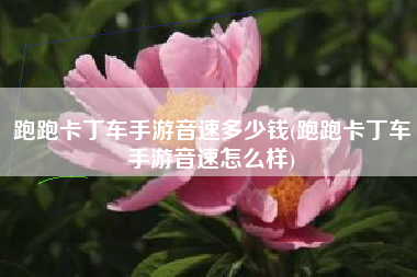 跑跑卡丁车手游音速多少钱(跑跑卡丁车手游音速怎么样)