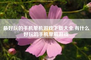 最好玩的手机单机游戏下载大全,有什么好玩的手机单机游戏
