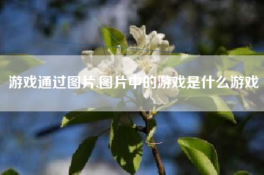 游戏通过图片,图片中的游戏是什么游戏