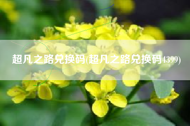 超凡之路兑换码(超凡之路兑换码4399)