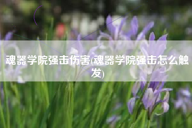 魂器学院强击伤害(魂器学院强击怎么触发)