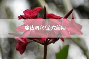 魔法洞穴2游戏前期