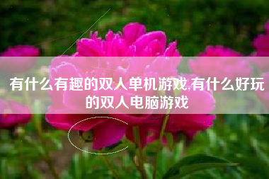 有什么有趣的双人单机游戏,有什么好玩的双人电脑游戏