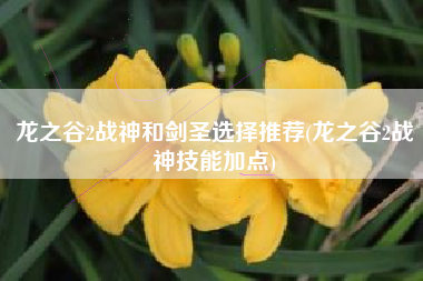 龙之谷2战神和剑圣选择推荐(龙之谷2战神技能加点)