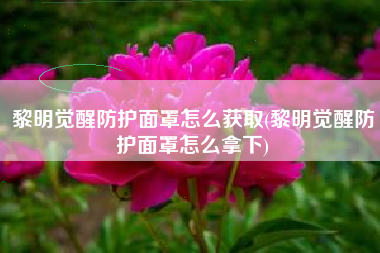 黎明觉醒防护面罩怎么获取(黎明觉醒防护面罩怎么拿下)